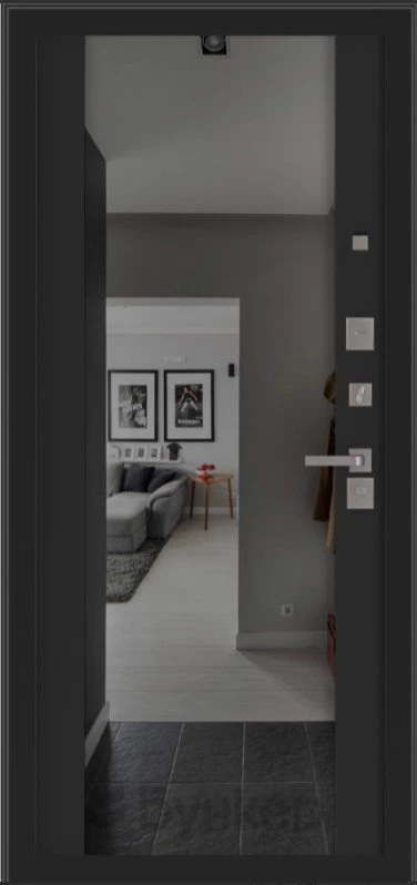 с зеркалом (тонировка) ФЛЗ-1 Черный кварц